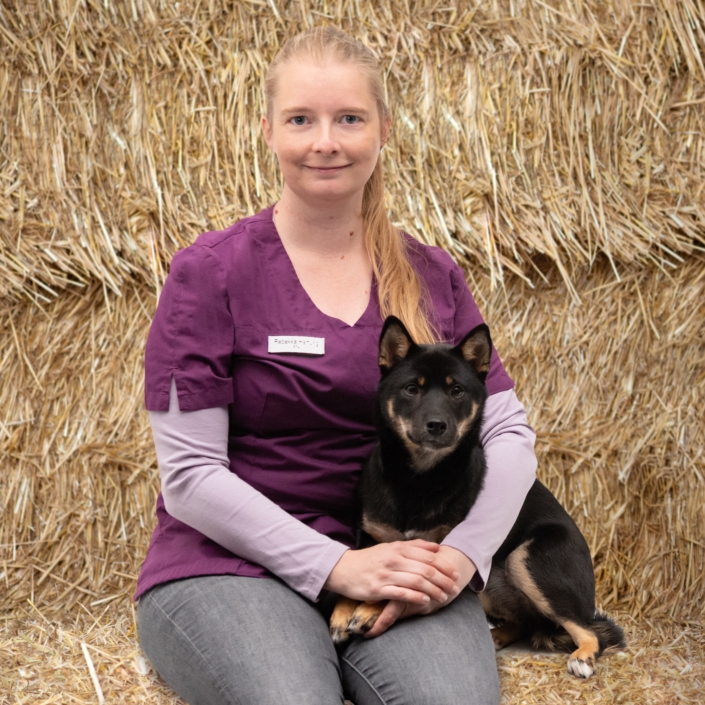 Tierarzt Shooting Hund